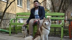 Хаски Аюта и дворняга Лиза поселились в старооскольской семье