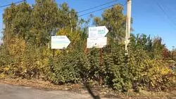 Власти Старого Оскола ликвидировали свалку