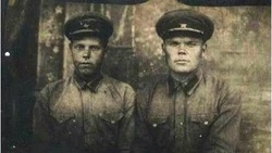 Библиотекарь из Владимировки – о ветеране и освобождении родного села