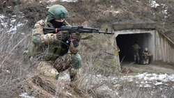 Семь батальонов территориальной самообороны созданы в Белгородской области