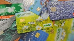  Пять фактов мошенничества зарегистрировано с начала недели в Белгородской области 