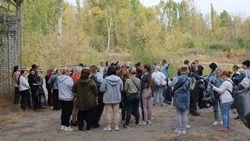 Андрей Чесноков – о проведении субботников на территории Старооскольского городского округа