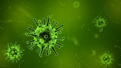 Ситуация с коронавирусом обеспокоила медиков в Старом Осколе
