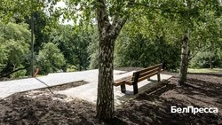 Вячеслав Гладков рассказал об итогах голосования за дизайн-проекты благоустройства