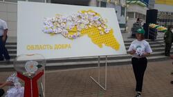 Белгородцы пожертвовали средства на помощь тяжелобольным детям на акции «Белый цветок»