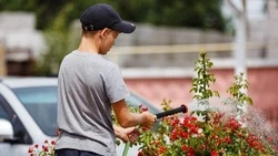 Вячеслав Гладков – о летнем трудоустройстве белгородских подростков 