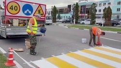 Владимир Жданов рассказал о продолжении работ по обновлению дорожной разметки