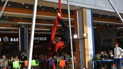 Образцовая цирковая студия «Юность Оскола» выступила с отчётным концертом