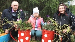 Усадьба семьи Болвиновых из Солдатского стала лучшим старооскольским подворьем