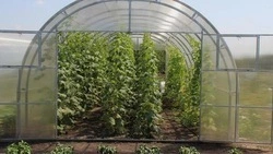 Вячеслав Гладков рассказал о выделяемой помощи ЛПХ на строительство теплиц 