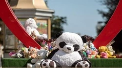 Вячеслав Гладков сообщил о решении ЛДПР направить деньги с агитации в Фонд помощи раненым детям