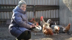 Евгения Гущина из старооскольского посёлка Набокино стала обладателем соцконтракта 