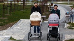 Более 600 белгородских семей зарегистрировали рождение ребёнка через портал «Госуслуги»
