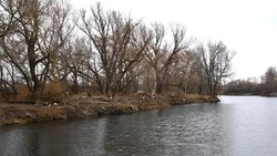 Первый этап очистки реки Оскол в районе слободы Ездоцкой завершён