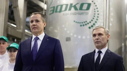 Вячеслав Гладков рассказал о начале строительства нового завода компании «ЭФКО»
