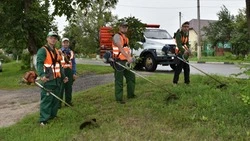 Около трёх тысяч старооскольских школьников и студентов трудоустроились летом
