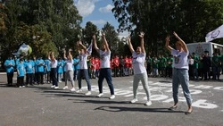 Трудовой лагерь для молодёжи открылся в Старом Осколе