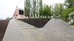 Владимир Жданов поделился новостями о реализации проекта губернатора «Решаем вместе»