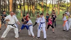 Старооскольский тренер подготовил шесть обладателей чёрного пояса по карате